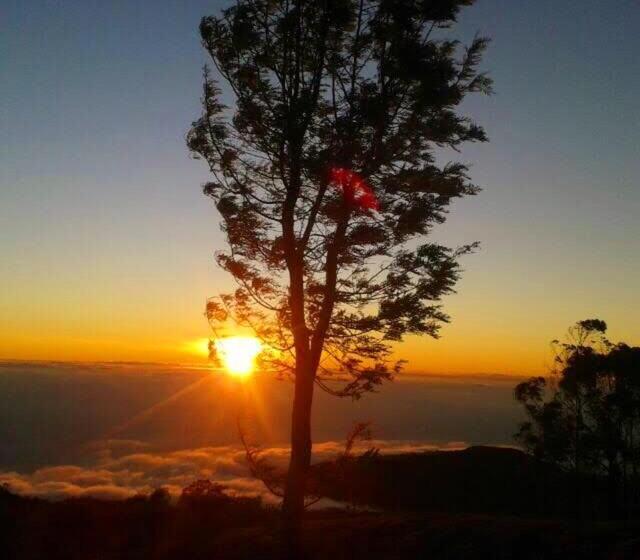 マウンテンビュースタンダードルーム, Belview Guest House