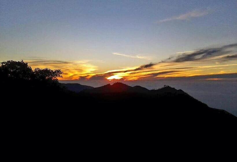 マウンテンビュースタンダードルーム, Belview Guest House