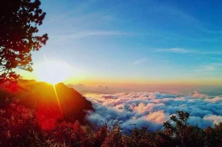 スタンダードルーム, Belview Guest House