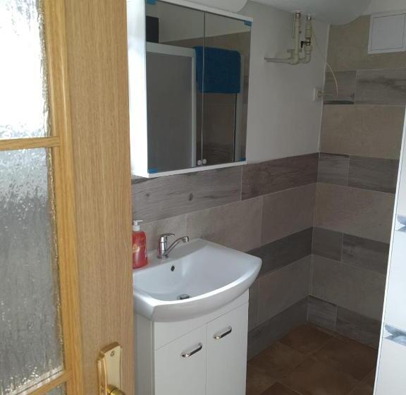 شقة غرفة نوم واحدة بالطابق الأرضى, Penzion U Pavla