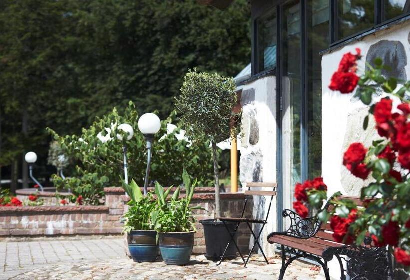 高级大房间, Araslöv Golf & Resort