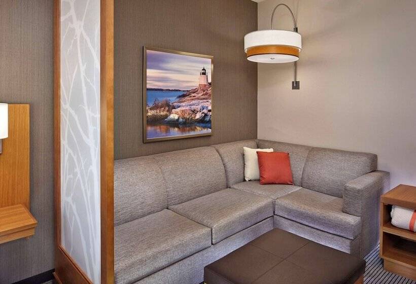 适合残疾人使用的标准间, Hyatt Place Warwick/providence Airport