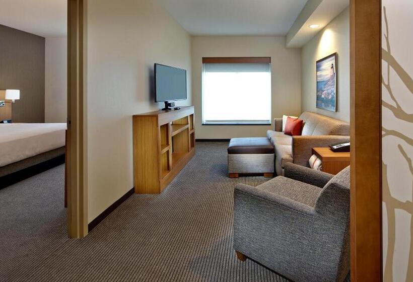 Suíte Cama King, Hyatt Place Warwick/providence Airport