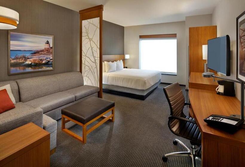 适合残疾人士使用的带超级大床的标准间, Hyatt Place Warwick/providence Airport