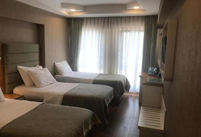 اتاق استاندارد سه نفره, Life Corner