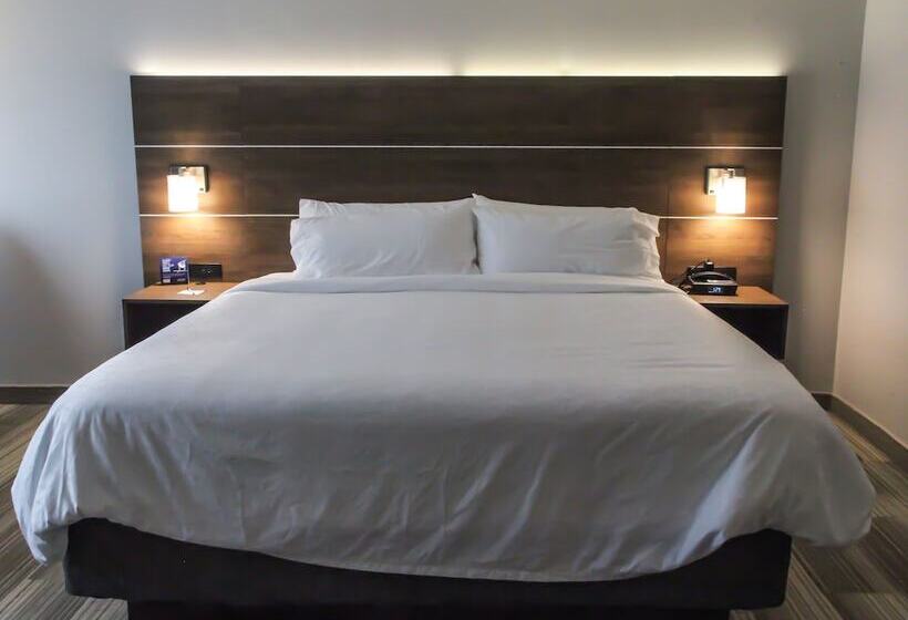 Номер Стандарт, Holiday Inn Express & Suites Nashville North   Springfield, An Ihg