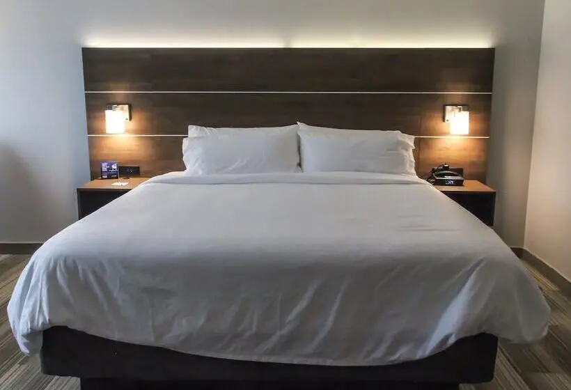 スタンダードルーム, Holiday Inn Express & Suites Nashville North Springfield, An Ihg