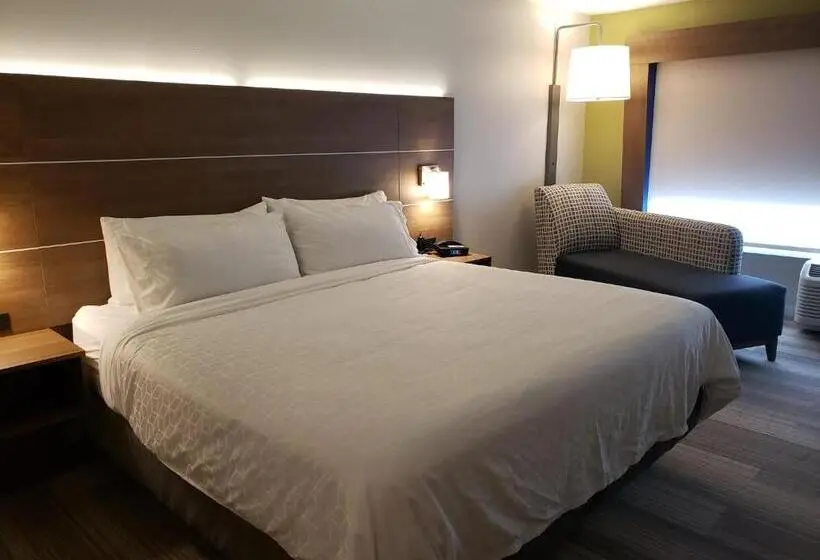 キングサイズベッドのスイートルーム, Holiday Inn Express & Suites Nashville North Springfield, An Ihg