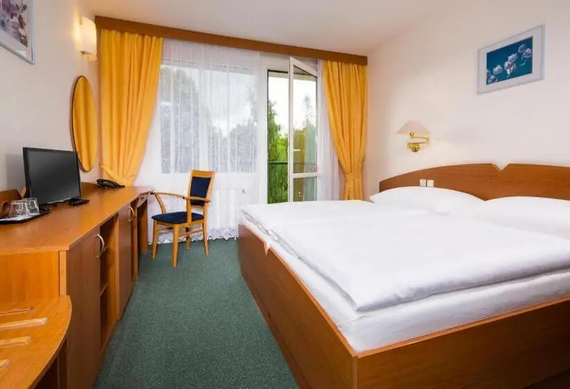 اتاق استاندارد, Spa Resort Libverda   Hotel Nový Dům
