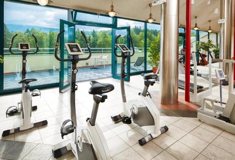 غرفة قياسية, Spa Resort Libverda   Hotel Nový Dům