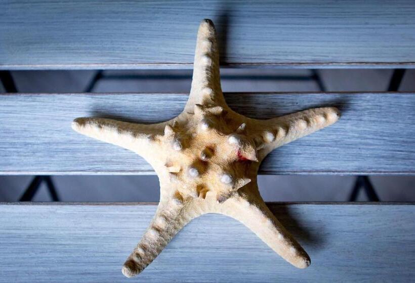 اتاق استاندارد با تراس, B&b A Portata Di Mare