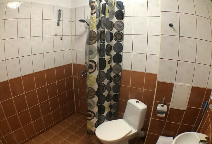 带1个卧室的舒适公寓, Samuil Apartments