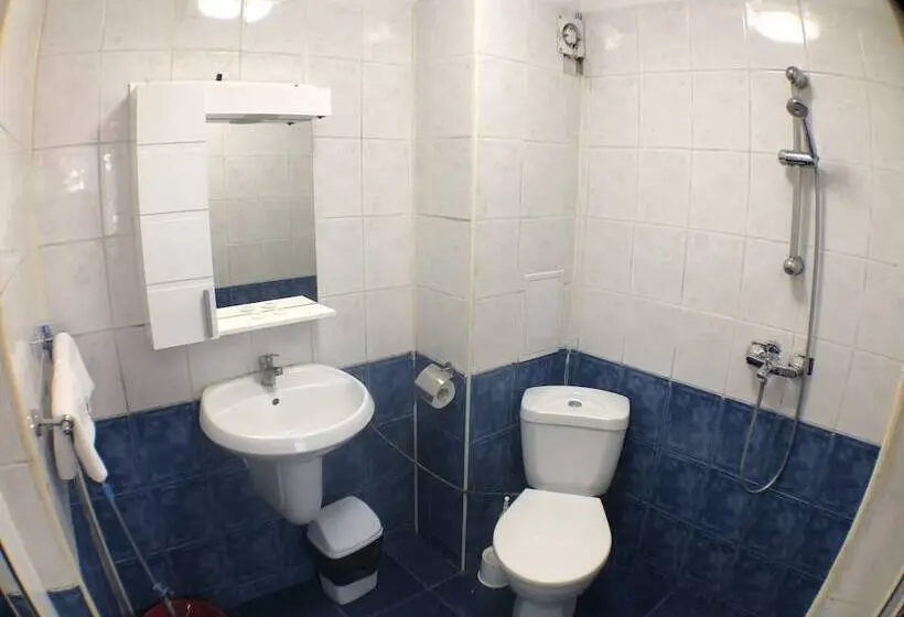 اتاق عادی با تخت دوبل, Samuil Apartments