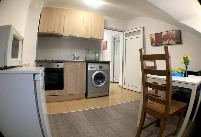 1ベッドルームアパートメント, Samuil Apartments