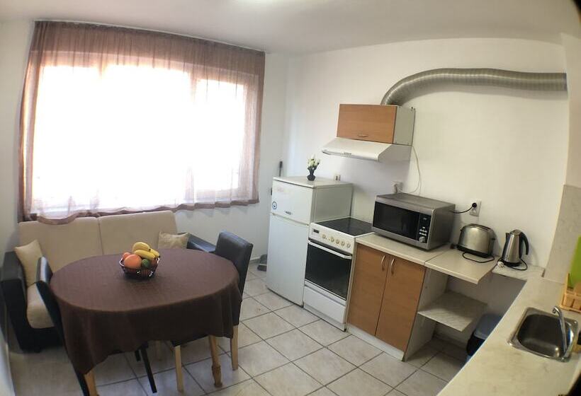 1ベッドルームアパートメント, Samuil Apartments