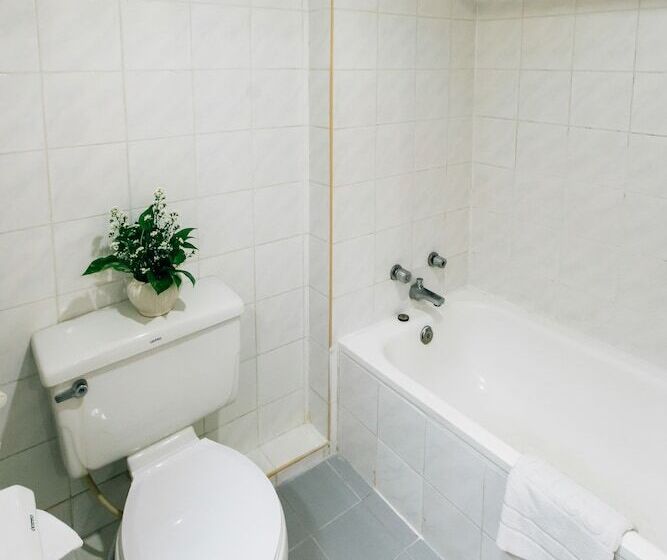 Номер Стандарт, Sinkiat Thani