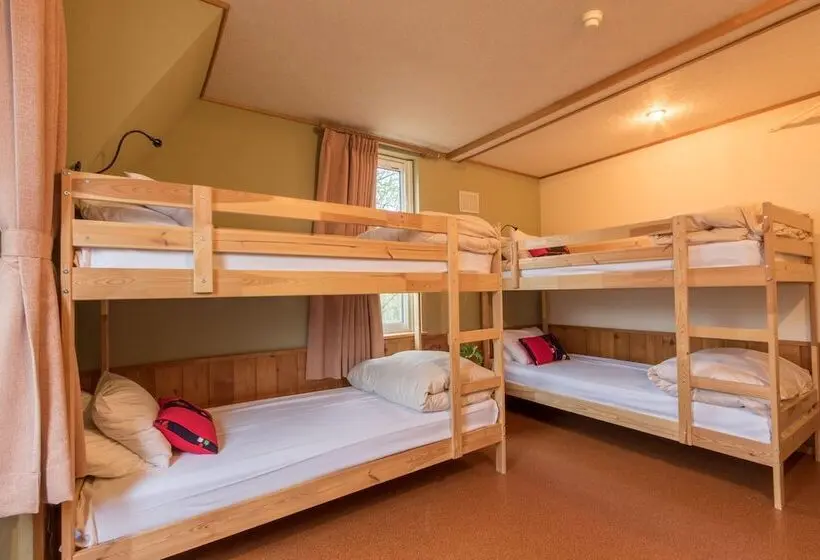 スタンダード4人部屋, Freeride Backpackers Lodge Niseko