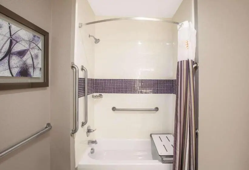 身障者適用キングサイズベッドルーム, La Quinta By Wyndham Kingsville