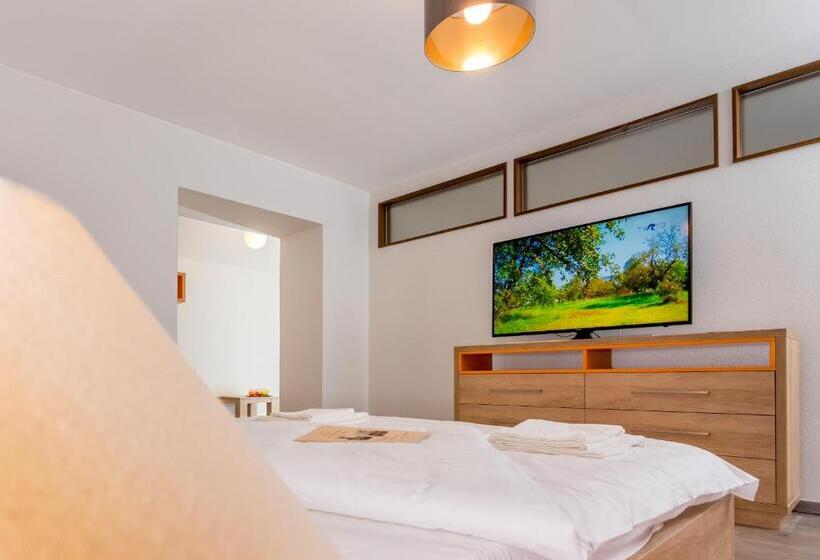 Апартаменты Deluxe 1 Спальня, Casa Nicolae Luxury Suites