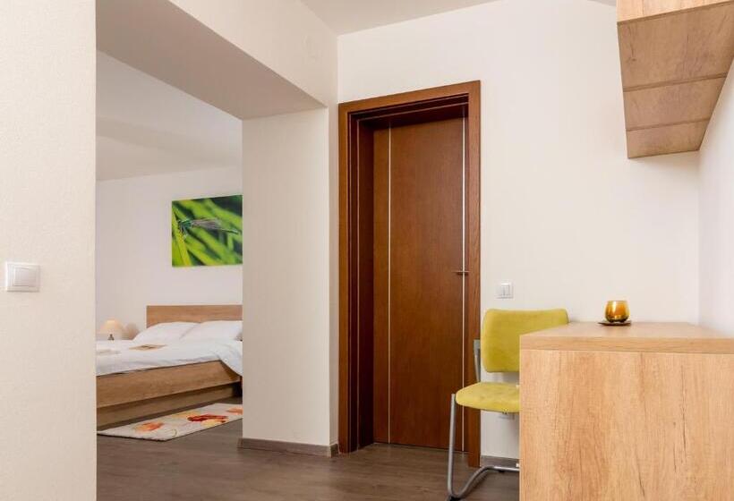 Апартаменты Deluxe 1 Спальня, Casa Nicolae Luxury Suites