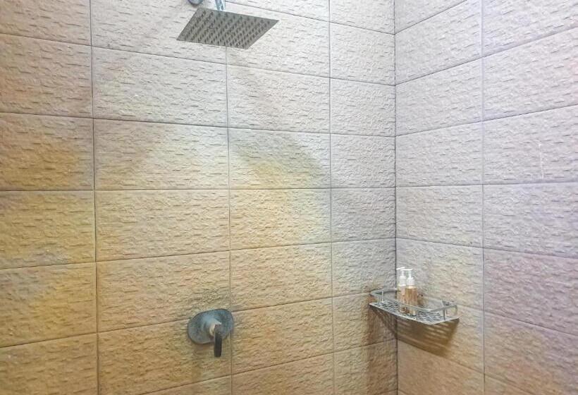 Люкс, The Paica