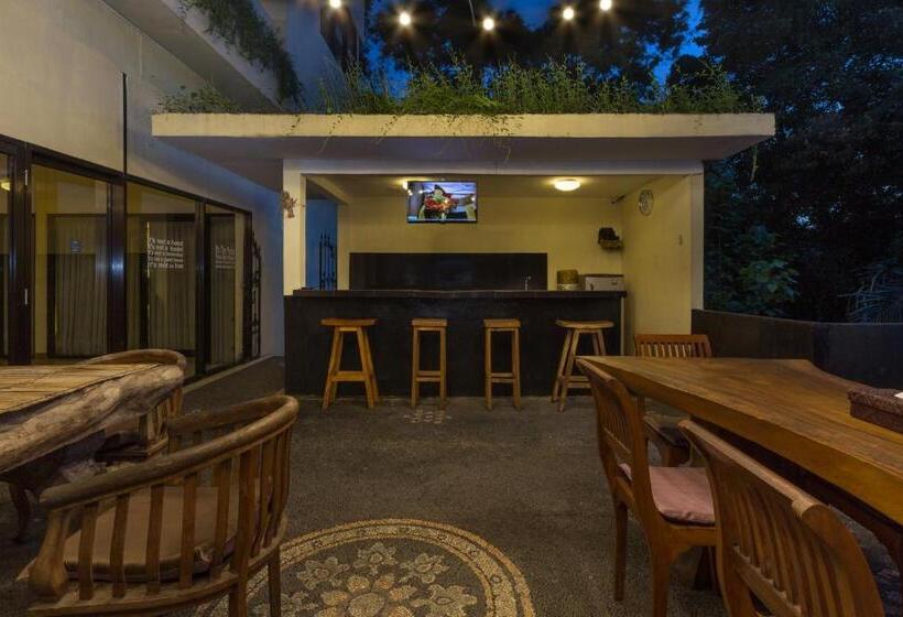 חדר קומפורט יחיד, The Paica