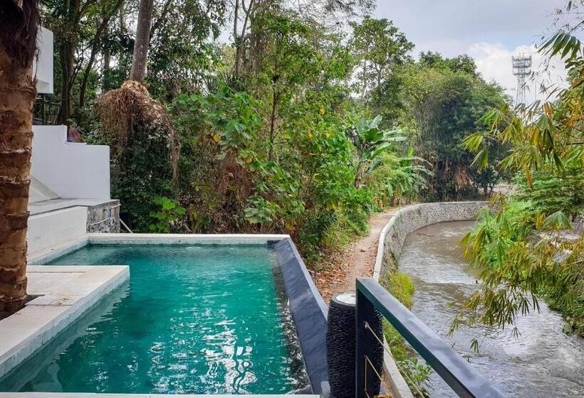 חדר בסיסי לשלושה, The Paica