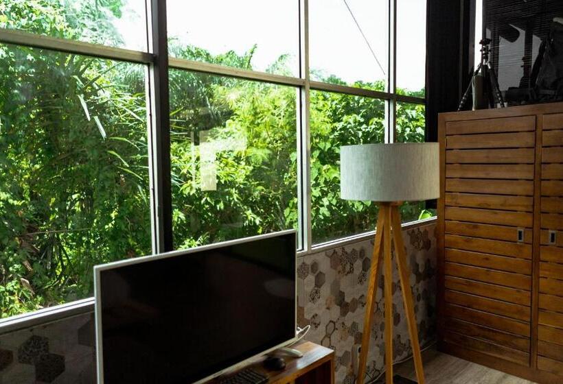 דירה בת חדר שינה 1 עם מרפסת, The Paica