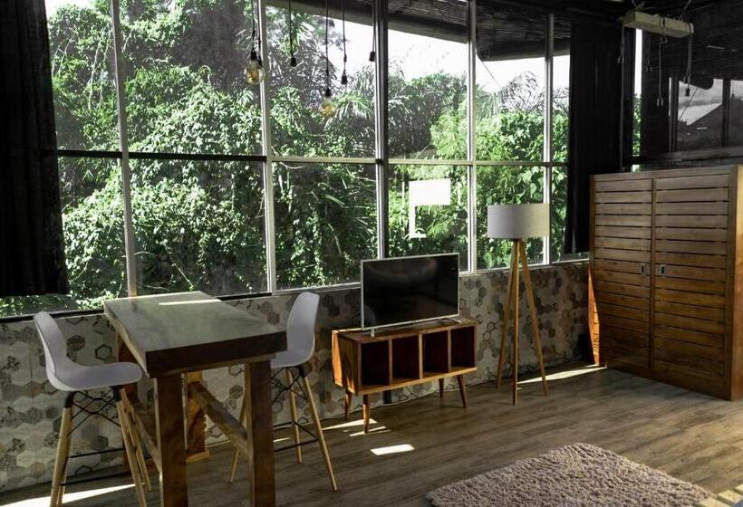 דירה בת חדר שינה 1 עם מרפסת, The Paica