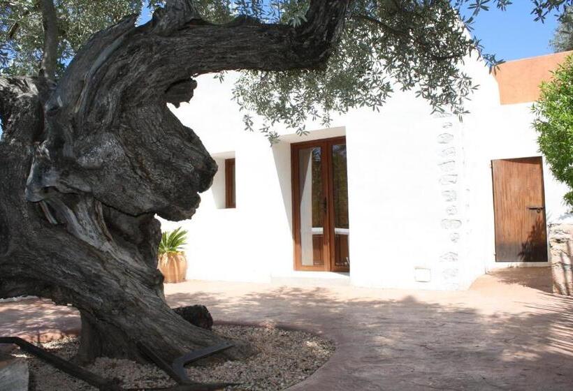 Люкс, Agroturismo Can Pere Sord