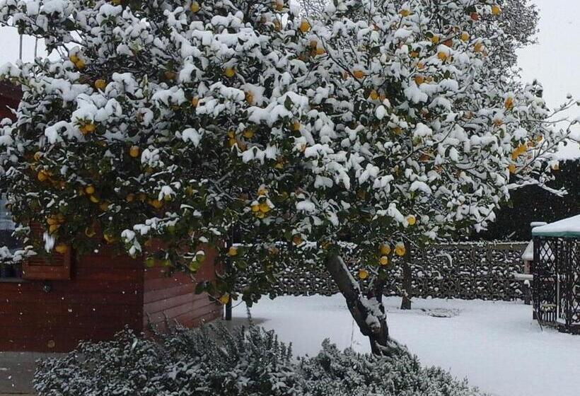 Шале 1 Спальня, O Chalet