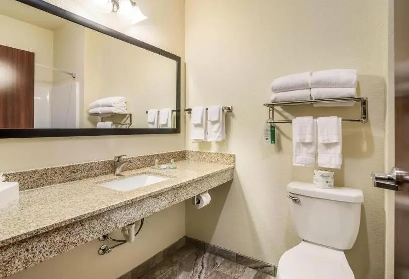 スイート, Cobblestone Hotel & Suites Victor