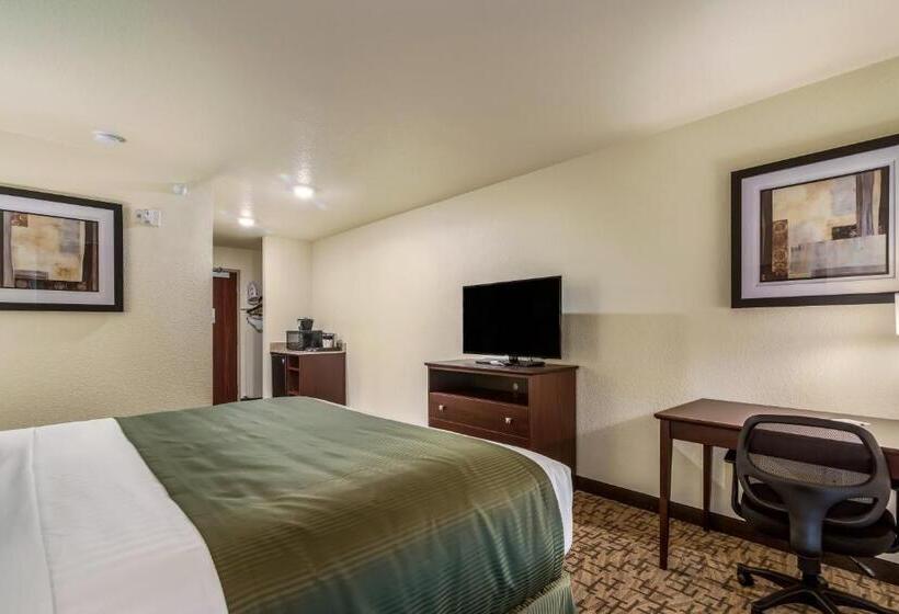 اتاق استاندارد با تخت بزرگ برای معلولان, Cobblestone Hotel & Suites   Victor