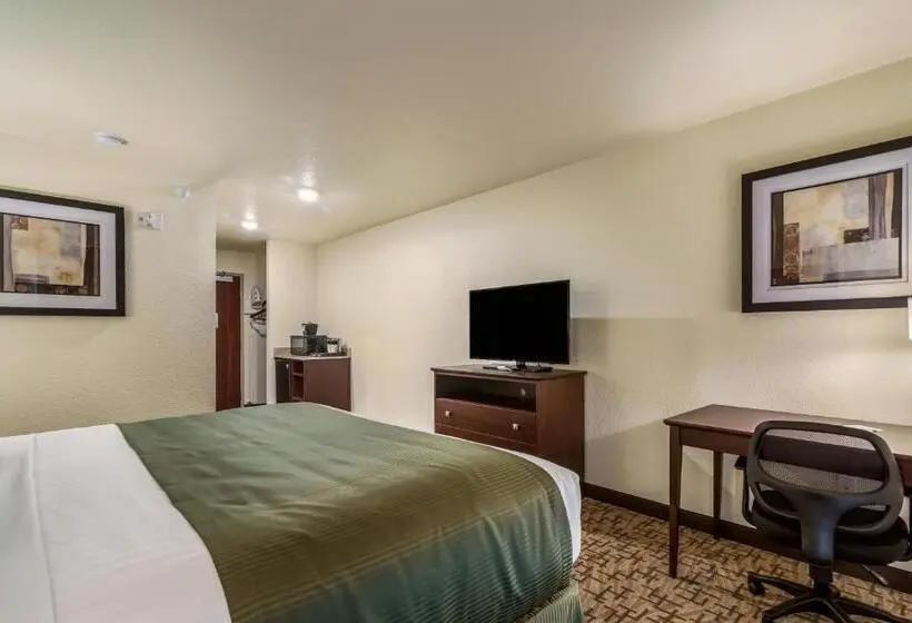 身障者適用キングサイズベッドルーム, Cobblestone Hotel & Suites Victor