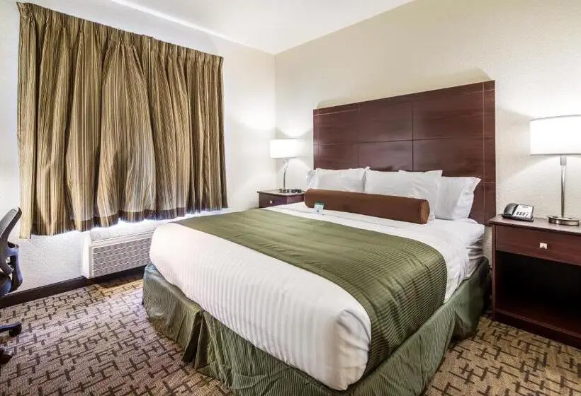 身障者適用キングサイズベッドルーム, Cobblestone Hotel & Suites Victor
