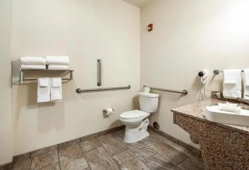 身障者適用スタンダードルーム, Cobblestone Hotel & Suites Victor