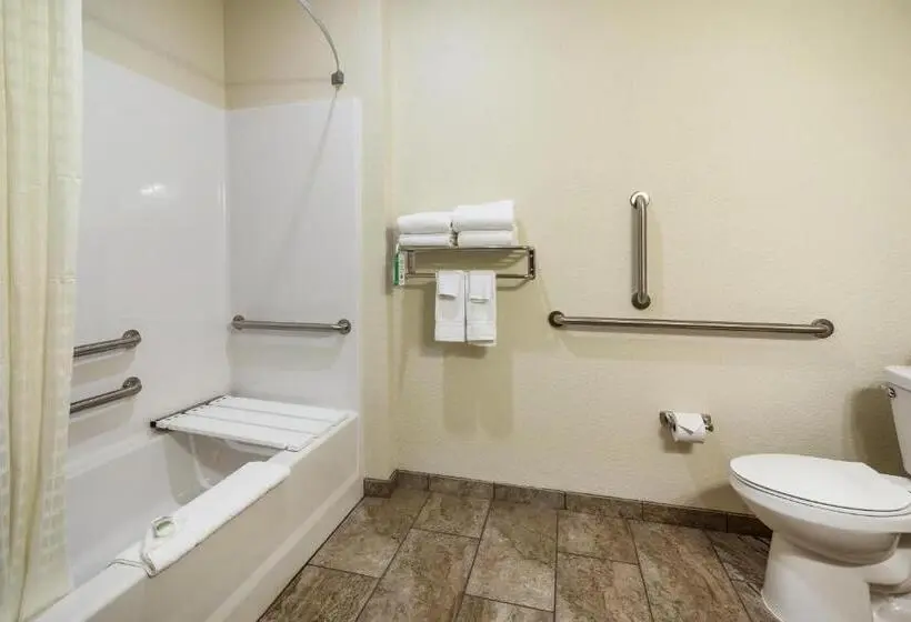 身障者適用スタンダードルーム, Cobblestone Hotel & Suites Victor