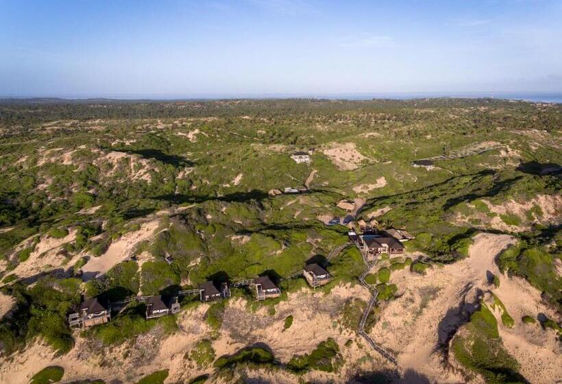 オーシャンビュースタンダードルーム, Sava Dunes