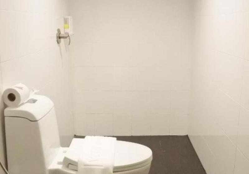 Номер Стандарт, Shane