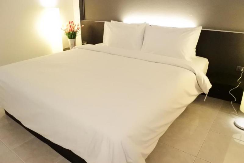 Номер Стандарт, Shane