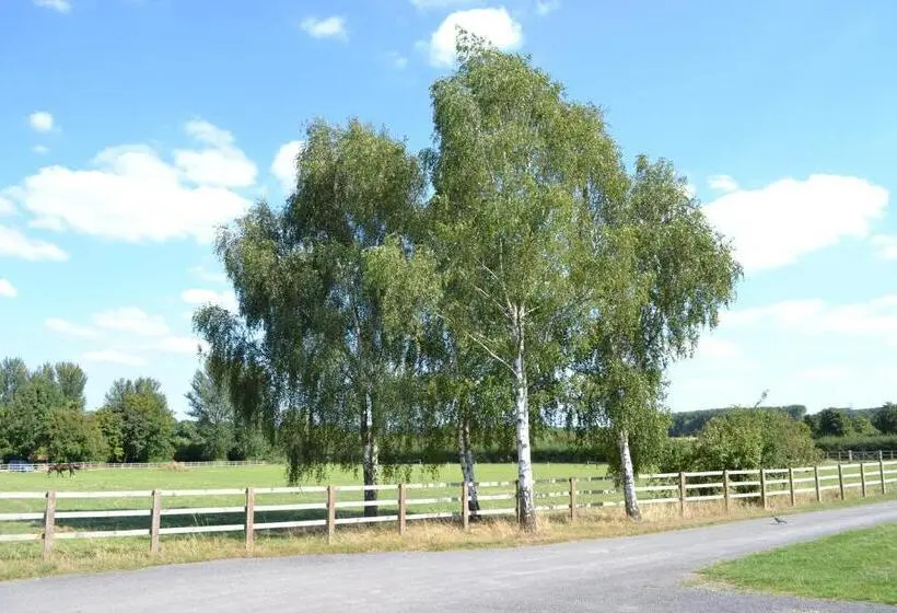 シャレー1寝室, The Chiltern Lodges At Upper Farm Henton