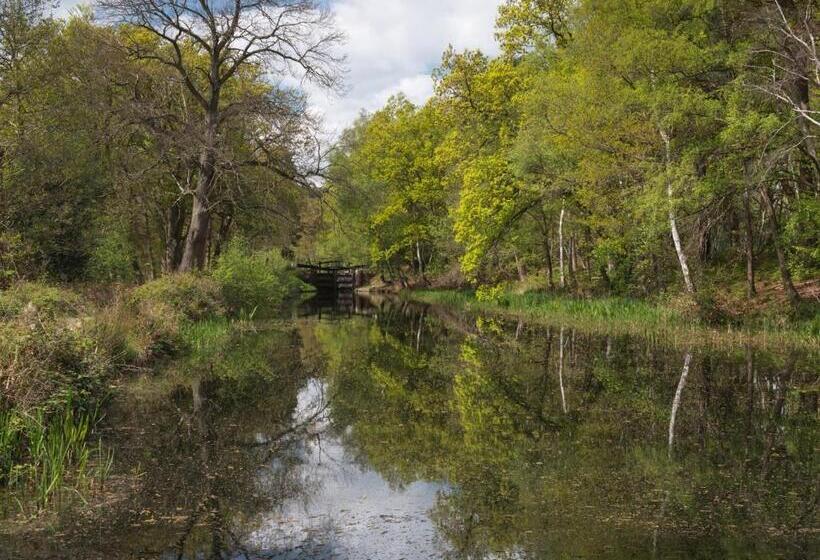 침실 1개 아파트, Oakdale At Park Heights