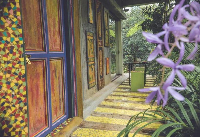 标准房带园景, Aathma Colombo House