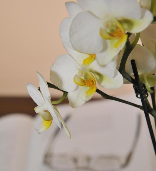 غرفة قياسية, Miravalle