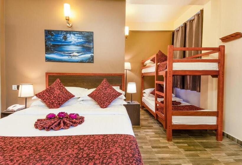 اتاق خانوادگی, Paguro Beach Inn