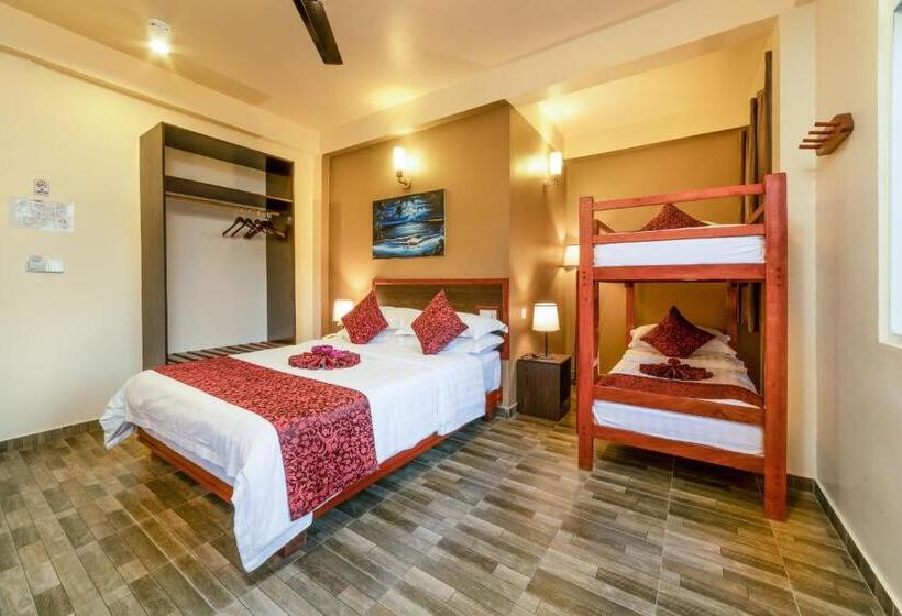 اتاق خانوادگی, Paguro Beach Inn