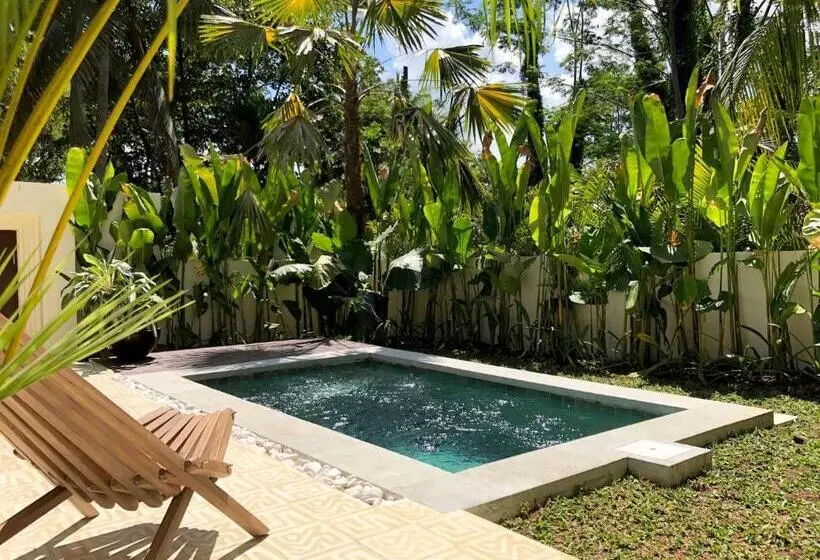 プールビュースタンダードステューディオ, Soulshine Bali