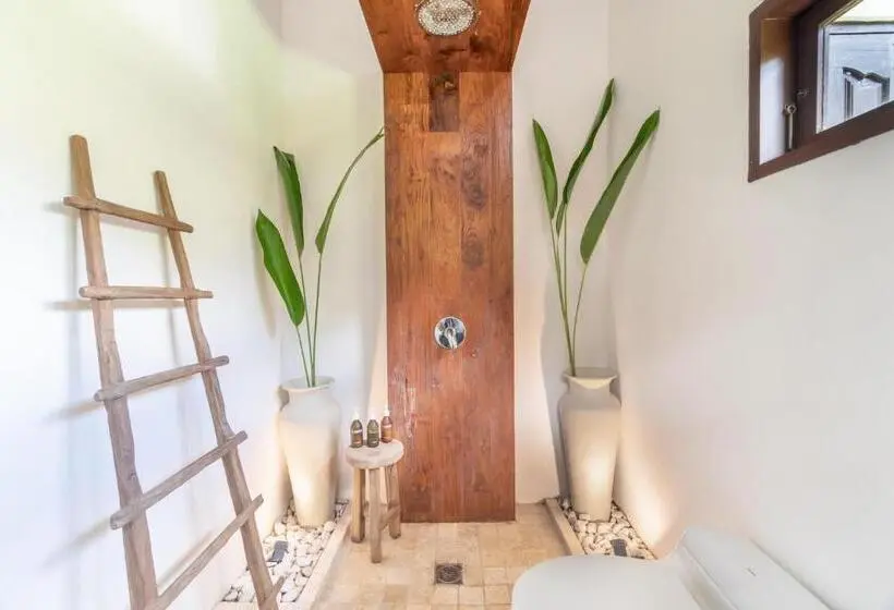 プールビュースタンダードステューディオ, Soulshine Bali