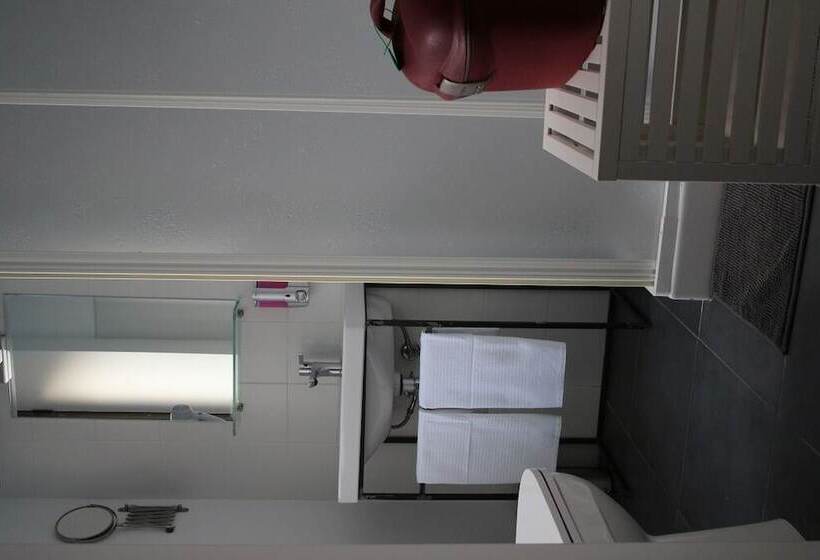 スタンダードルーム, Lasso B&b