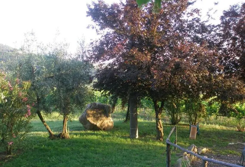 スタンダードルーム, Agriturismo Biologico Poggiopiano